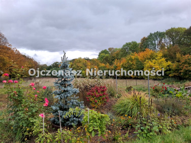 Działka rolna Zielonczyn