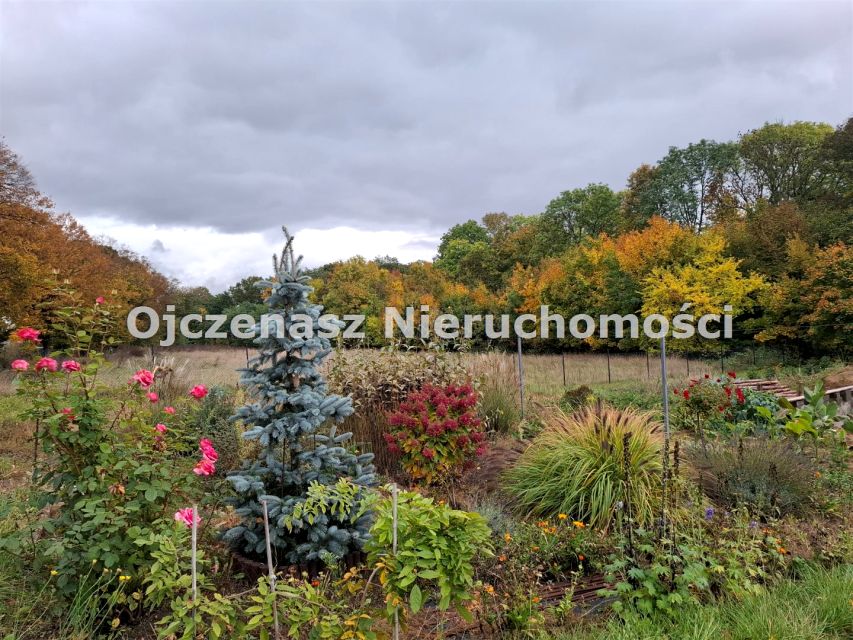 Działka rolna Zielonczyn