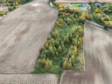 Działka siedliskowa Wiewiórki