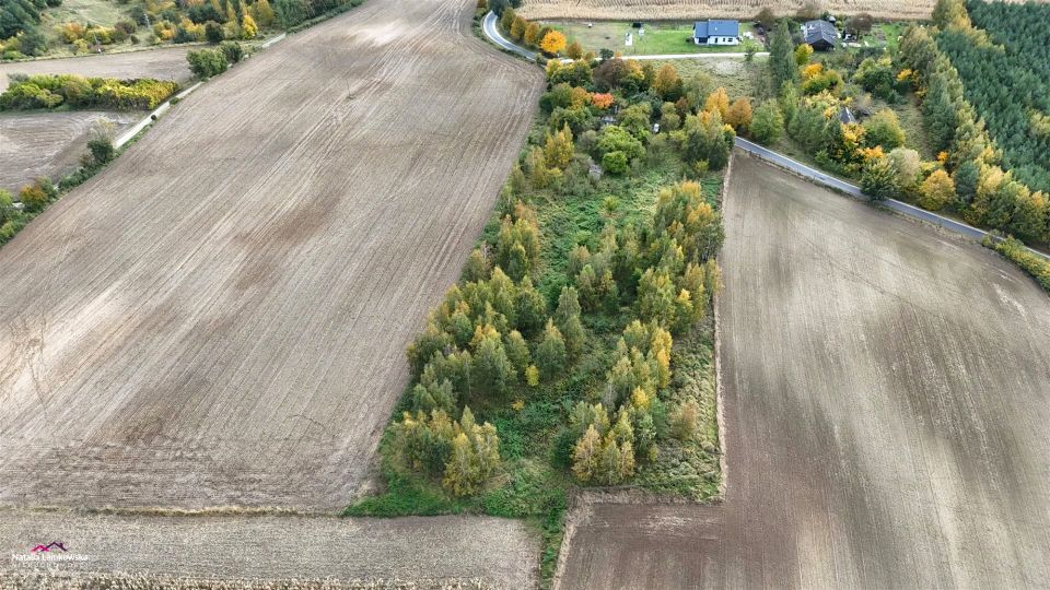 Działka siedliskowa Wiewiórki