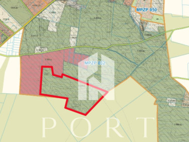 Działka leśna Stara Kiszewa