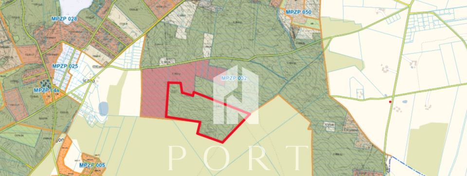 Działka leśna Stara Kiszewa