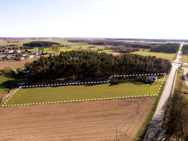 Działka usługowa Urbanowo