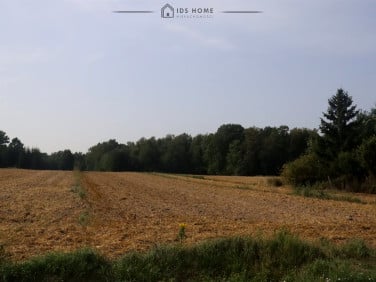 Pusta działka Franciszków