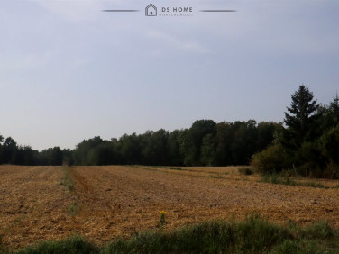 Działka Franciszków