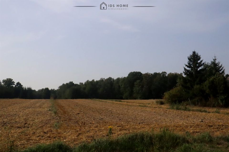 Działka Franciszków