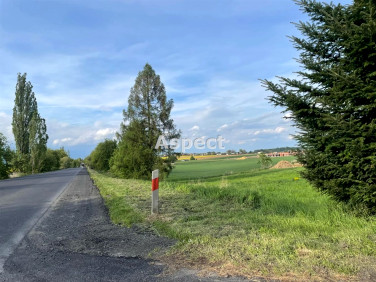 Działka usługowa Rudnik