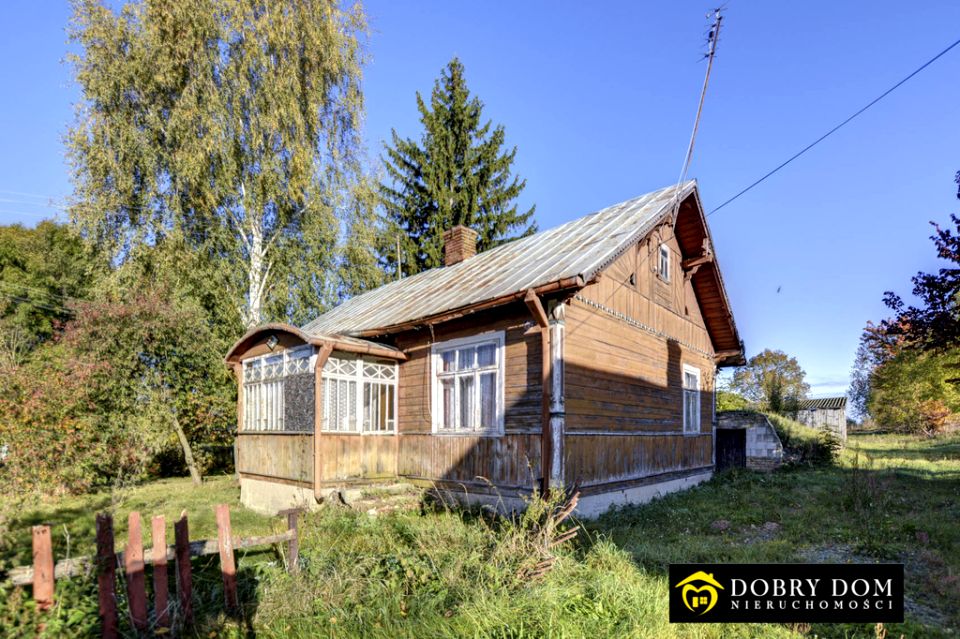 Dom Świrydy