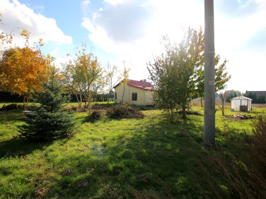 Dom Nasutów
