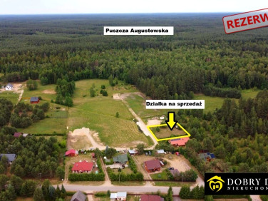 Działka Gorczyca