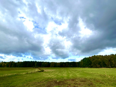 Działka rolna Barycz