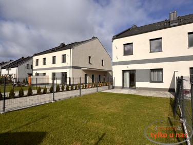 Mieszkanie Tulce wynajem