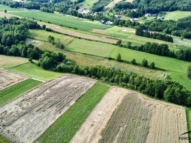 Działka leśna Dynów