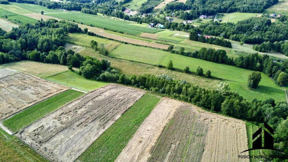Działka leśna Dynów