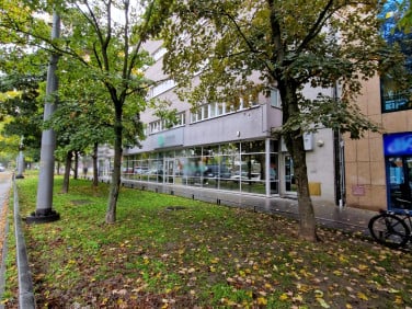 Lokal Kraków