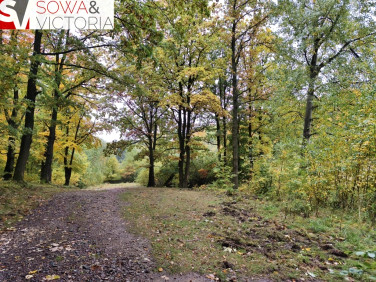 Działka Stare Bogaczowice