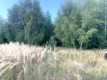 Działka budowlana Grabieniec