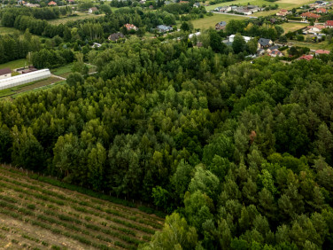 Działka rolna Piskórka