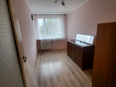 Mieszkanie Jelenia Góra wynajem