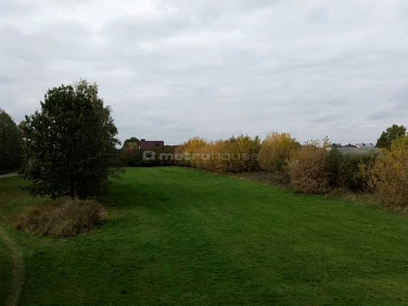 Działka Teodorów