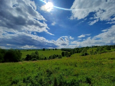 Działka rolna Pławna Dolna