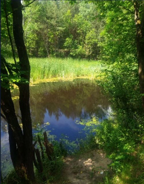 Działka budowlana Janopol