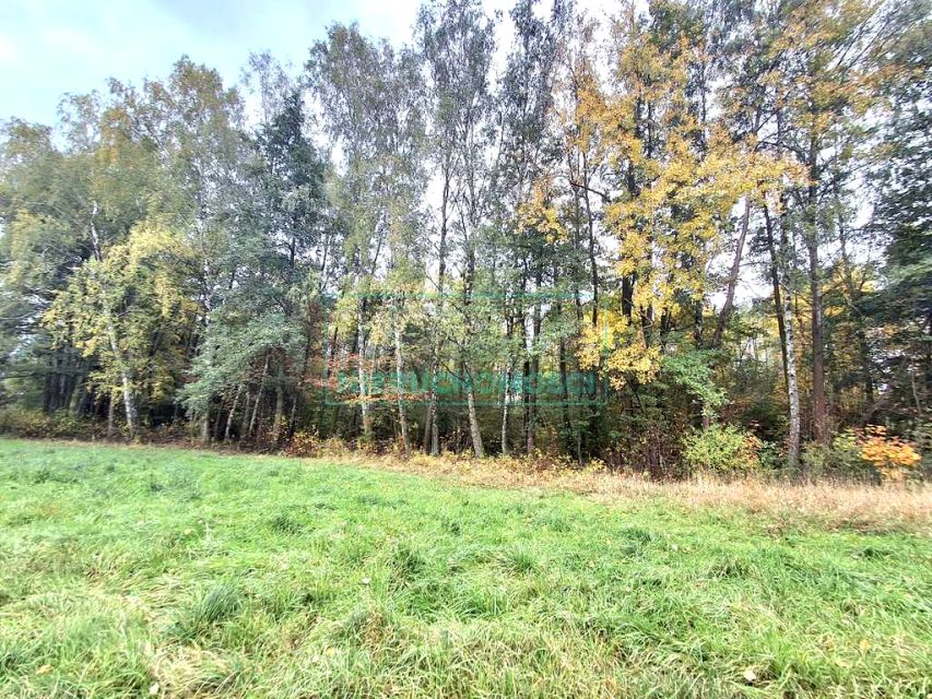 Działka budowlana Radonie