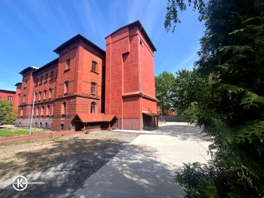 Mieszkanie Legnica