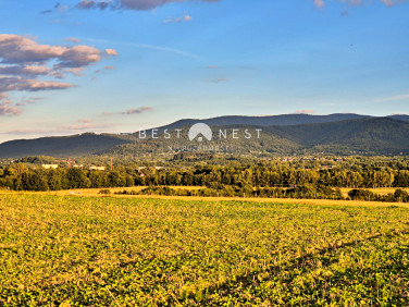 Działka budowlana Jasienica