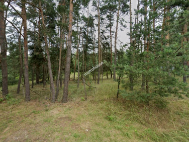 Działka leśna Glinnik