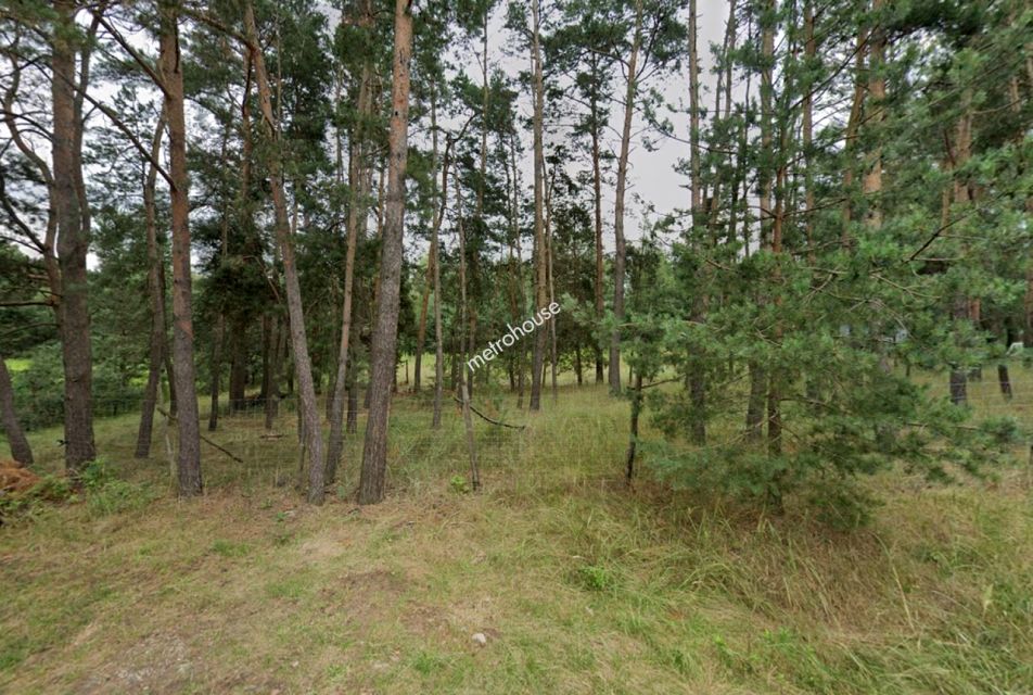 Działka leśna Glinnik