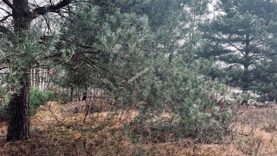 Działka budowlana Józefów
