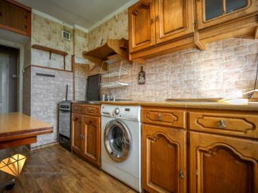 Mieszkanie blok mieszkalny wynajem