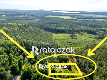 Działka Sasino