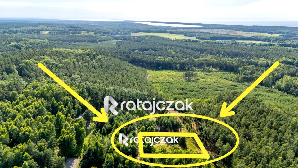 Działka Sasino