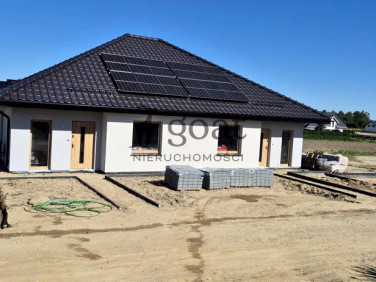 Dom Pszczółki sprzedaż