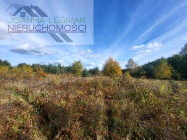 Działka budowlana Chechło