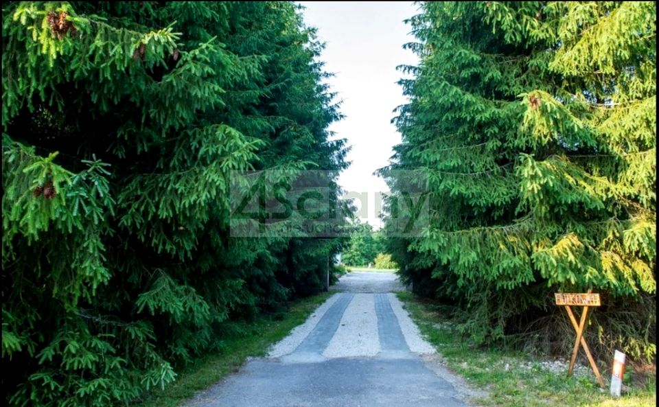 Działka Pieńki Zarębskie