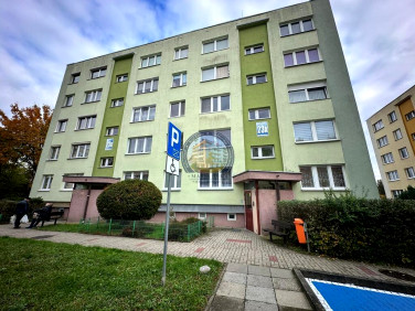 Mieszkanie Gorzów Wielkopolski