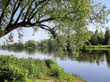 Dom Osłowo