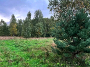 Działka budowlana Wymiarki