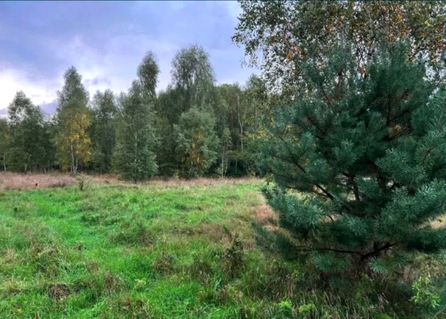 Działka budowlana Wymiarki