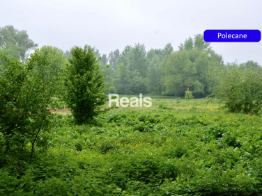 Działka siedliskowa Skierdy