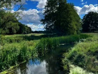 Działka rolna Trzebielino