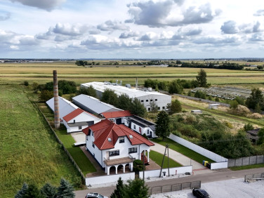 Dom Niedźwiady sprzedaż