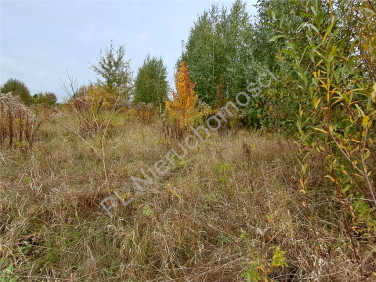 Działka budowlana Jaktorów-Kolonia