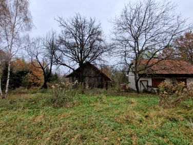 Działka inna Brzeżanka