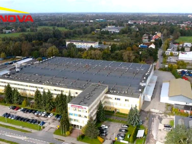 Lokal Elbląg