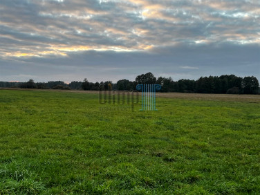 Pusta działka Brzoza