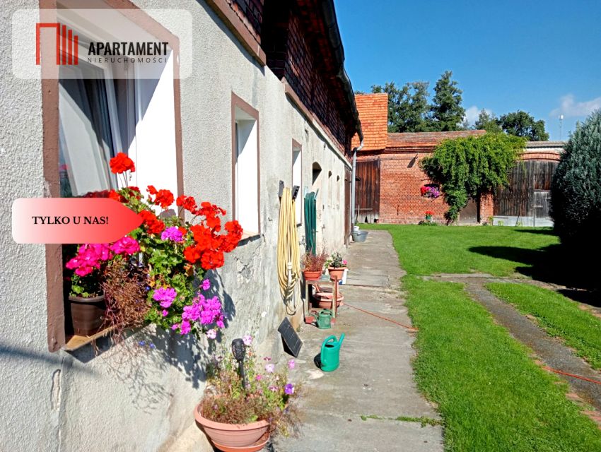 Dom Zaborów sprzedaż